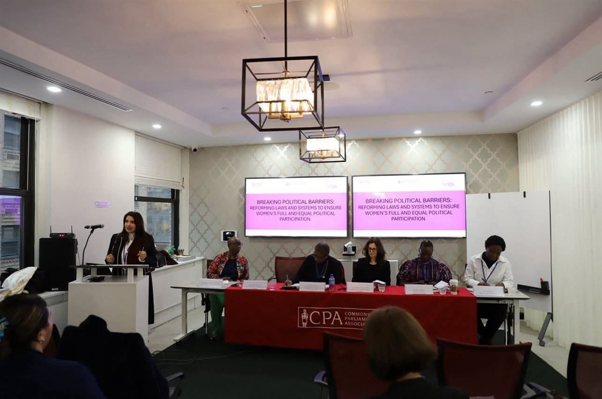 النائبة سحر البزار تستعرض تمكين المرأة في مصر بمؤتمر بالأمم المتحدة&nbsp;