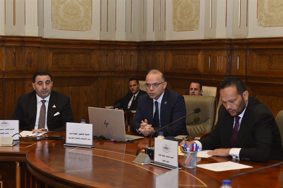 محمد حلاوة: سياسات الرئيس السيسي تدعم قوة مصر كدولة جاذبة للاستثمار&nbsp;