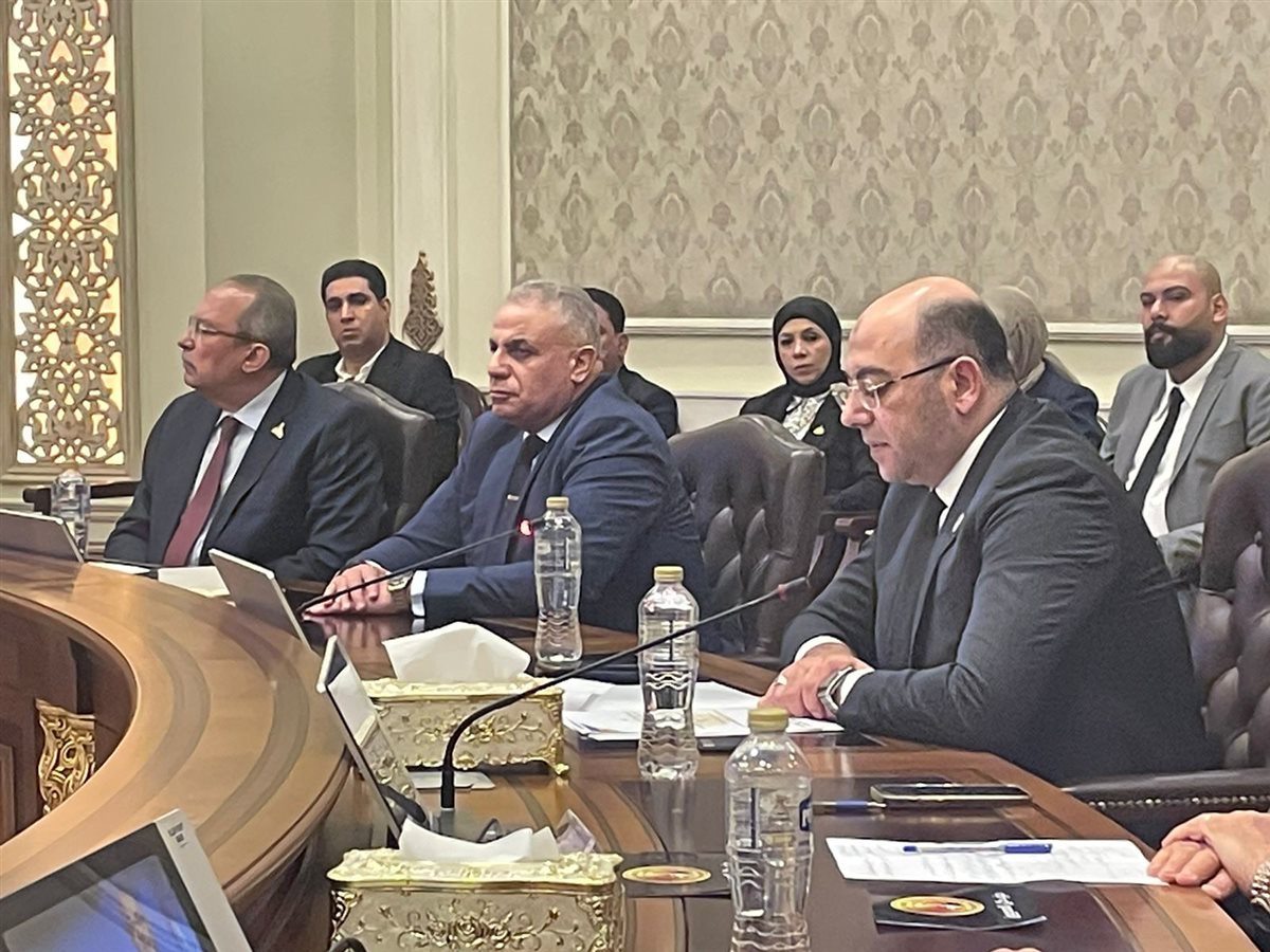 انطلاق فعاليات جلسة حماة الوطن الخاصة بمستقبل الصحة في مصر &nbsp;&nbsp;