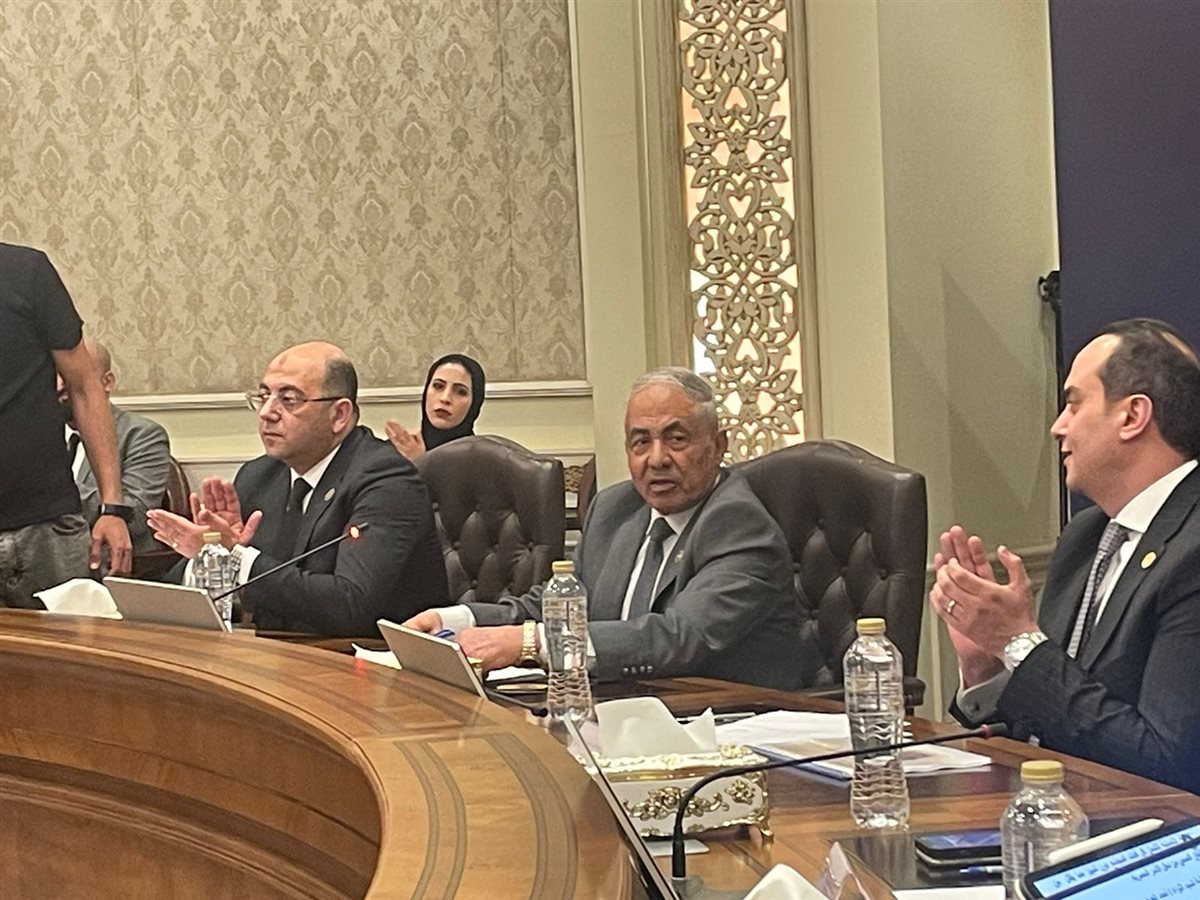 انطلاق فعاليات جلسة حماة الوطن الخاصة بمستقبل الصحة في مصر &nbsp;&nbsp;