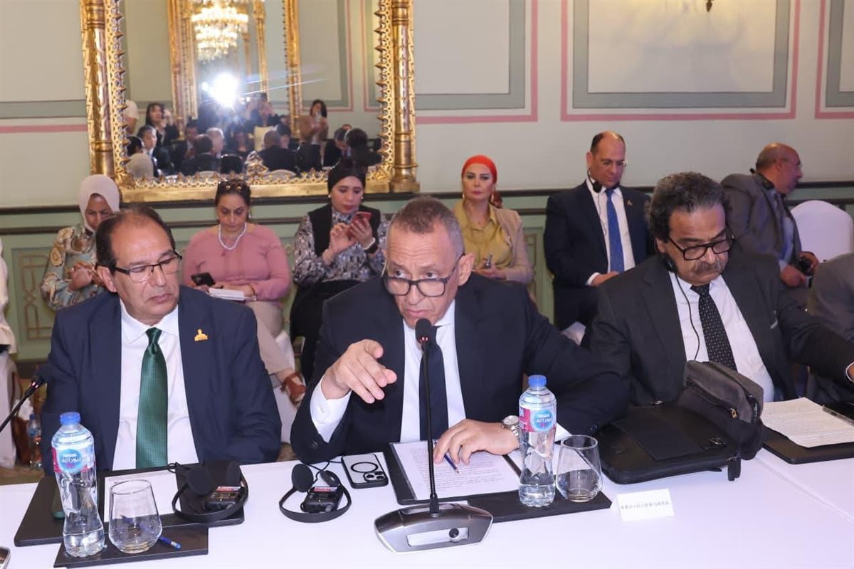 وكيل خارجية الشيوخ: العلاقات المصرية الصينية نموذج للشراكة الاستراتيجية&nbsp;