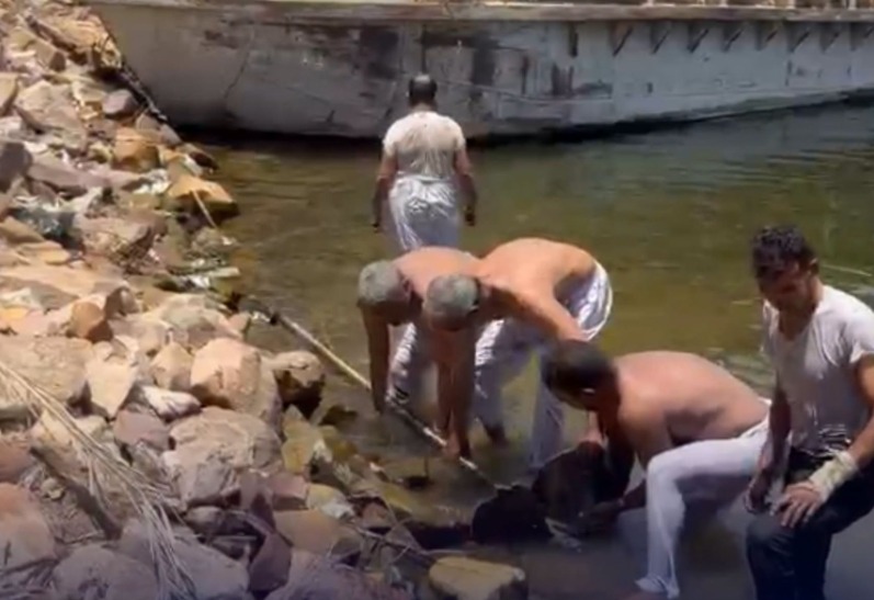 &nbsp;النائب مدحت ركابي