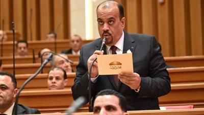 النائب إيهاب إمام: السياحة أولوية وأمن قومي في الجمهورية الجديدة