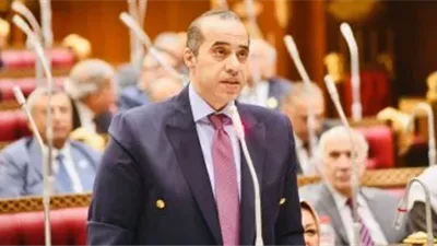 المستشار محمود فوزي: الرئيس لم يتقبل أن تمر الانتخابات إلا بالانتصار 