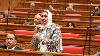 النائبة سحر صدقى: مشاركة الرئيس السيسي في عيد الميلاد رسالة وحدة الوطن