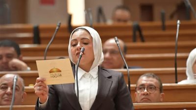 تحرك سريع.. النائبة ريهام عبد النبي تطالب النواب بدعم الصعيد فورًا