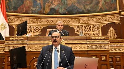 الحكومة توافق على مناقشة طلبَي إحاطة حول التغيرات المناخية وورد النيل 