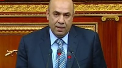 وكيل لجنة الزراعة بالشيوخ : اللجنة تولي اهتمامًا كبيرًا بتحديات نهر النيل