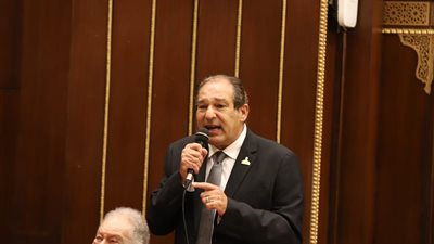 الهيئة البرلمانية لمستقبل وطن:مصر لم تتعرض لمخاطر نتيجة لسوء ادارة السد 