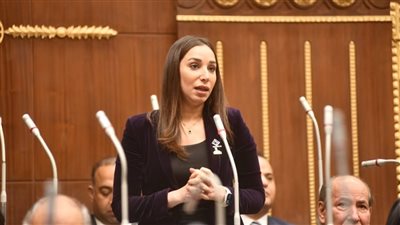 حنان وجدي : الاستثمار في مواجهة تغير المناخ هو خط الدفاع عن الاقتصاد