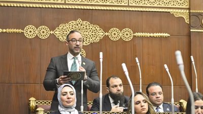 النائب أحمد الحمامصي : الاستراتيجية الوطنية للمناخ 2050 ضرورة عاجلة 