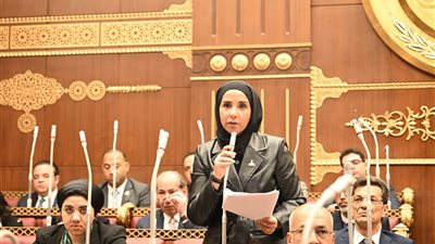 الشيوخ يوافق على المادة ٢٠ بقانون الضريبة على العقارات المبنية