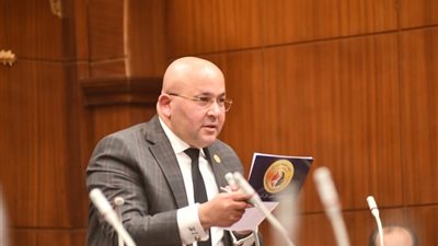 مجلس الشيوخ يناقش اقتراح النائب إبراهيم عيسى بالطعن على قانون الضريبة