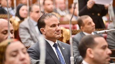 النائب تامر عبد الحميد : الاقتصاد يفتح أبوابه للممولين عبر تسهيلات جديدة 