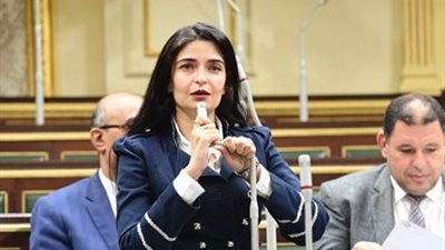 خاص .. النائبة إيرين سعيد تكشف أبرز تحديات البرلمان وما ينتظره المواطن 