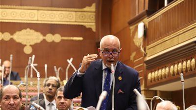 برلماني: توجيهات الرئيس بشأن الأجهزة التعويضية نقلة نوعية بتمكين ذوي الهمم