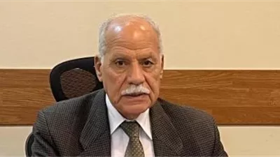 رئيس الحزب العربي الناصري: كلمة الرئيس من الكاتدرائية أكدت على وحدة الشعب