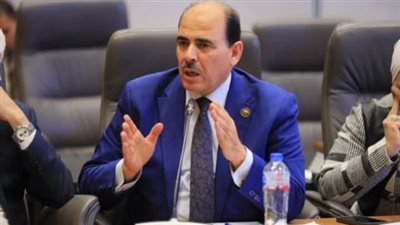 زكريا حسان: الرئيس السيسي يثبت كل عام أن وحدة المصريين خط أحمر