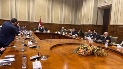 بدء اجتماع لجنة حقوق الإنسان بمجلس الشيوخ  لمناقشة الحق في السكن اللائق