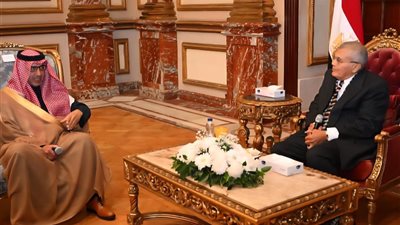 رئيس الشيوخ يستقبل  سفير العربية السعودية لدى القاهرة