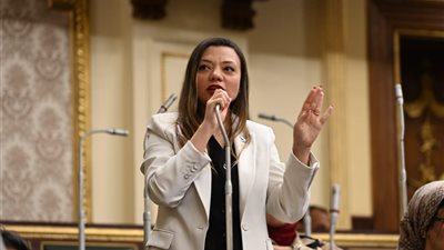 النائبة مي كرم جبر تتقدم بطلب إحاطة للحكومة بسبب ضريبة الموبايل