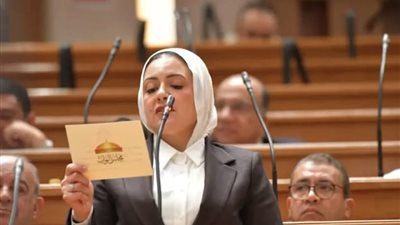 طلب إحاطة بشأن إلغاء قطارات VIP بخط 