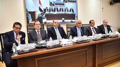 ٩ نواب يرفضون مشروع قانون الكهرباء مقابل ١١ يعلنون الموافقة