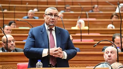 النائب مصطفى سالم: ثقة الشعب مسؤولية مضاعفة في الفصل التشريعي الثالث