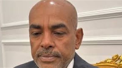 النائب محمد أبو الخير: أطالب بوضع آلية لدعم الشركات الصغيرة فى تنقيب الذهب