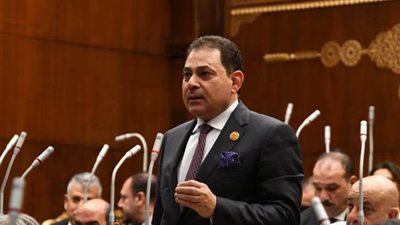  فرج فتحي: قانون الكهرباء الجديد يُغلق باب الفساد ويُنهي معاناة المواطنين