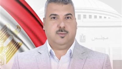 عبداللطيف أبو الشيخ يرفض تغليظ عقوبات الكهرباء: الحل في المعالجة الفنية 