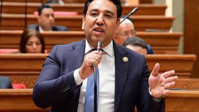  أيمن محسب يطالب بتشديد الرقابة على الأسواق 