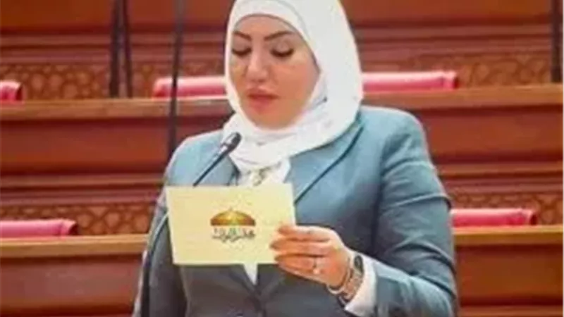 النائبة عبير عطا