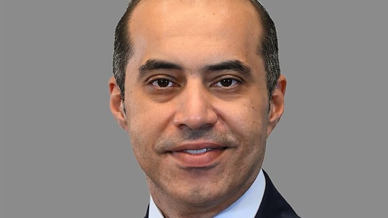 المستشار محمود فوزي