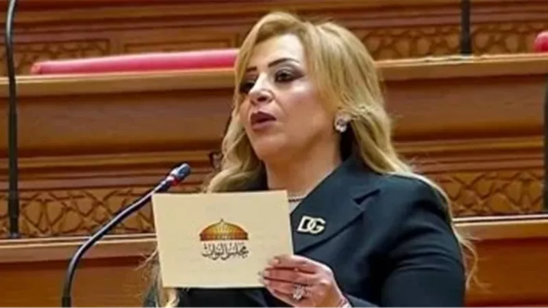 النائبة هبة غالي