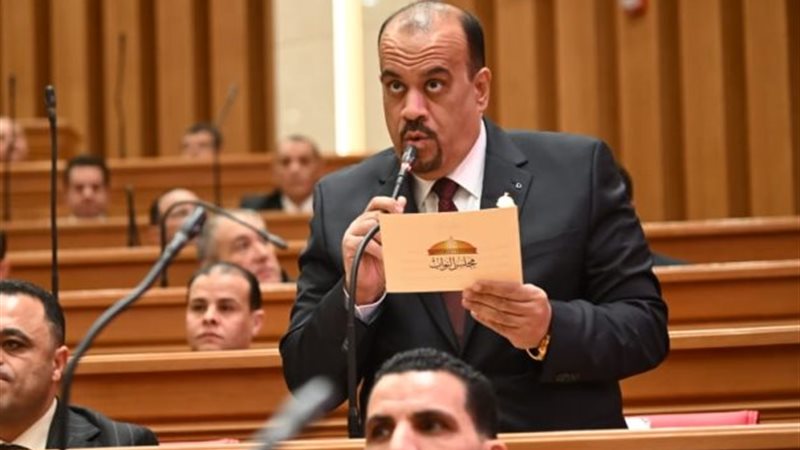 النائب إيهاب إمام