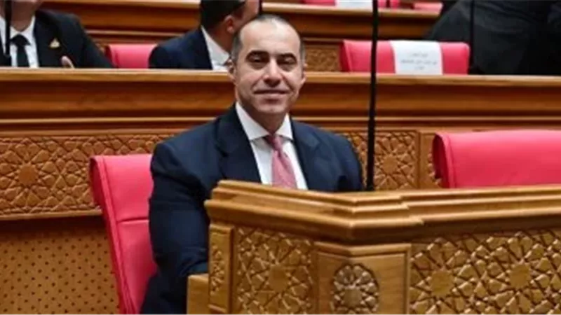 المستشار محمود فوزي