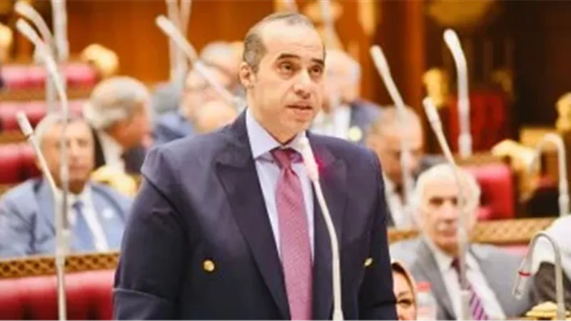 المستشار محمود فوزي