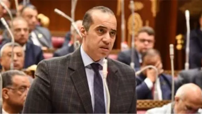 المستشار محمود فوزي