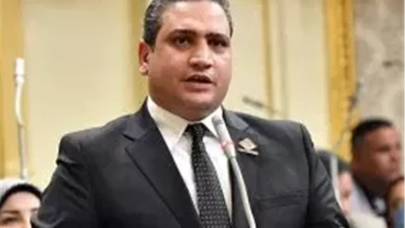 النائب عماد خليل