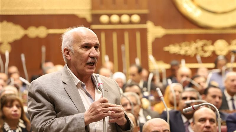 السيد عبد العال