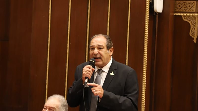 النائب حسام الخولي