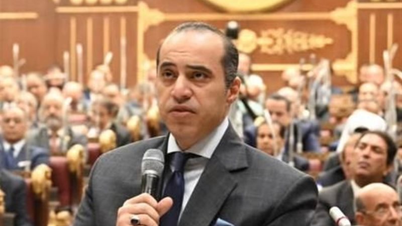 المستشار محمود فوزي