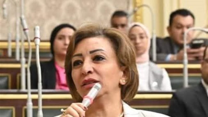 مها عبد الناصر