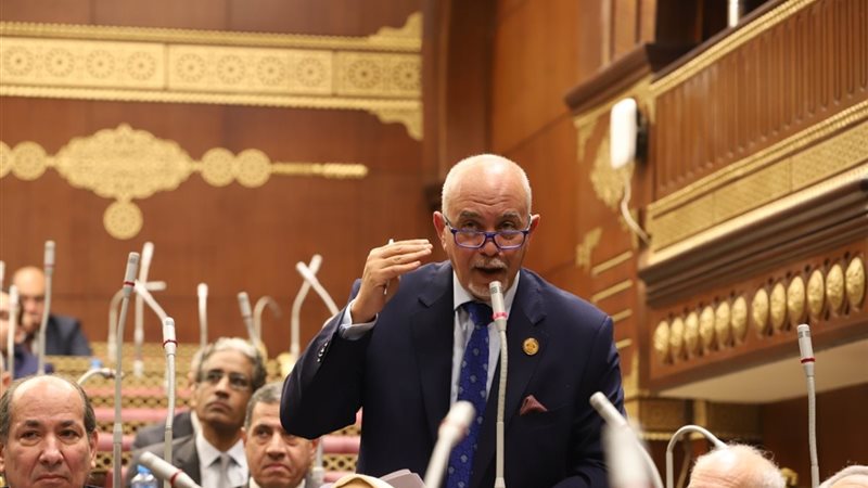 النائب حازم الجندي