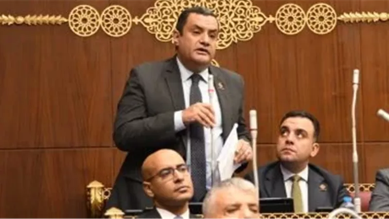 النائب أكمل نجاتى