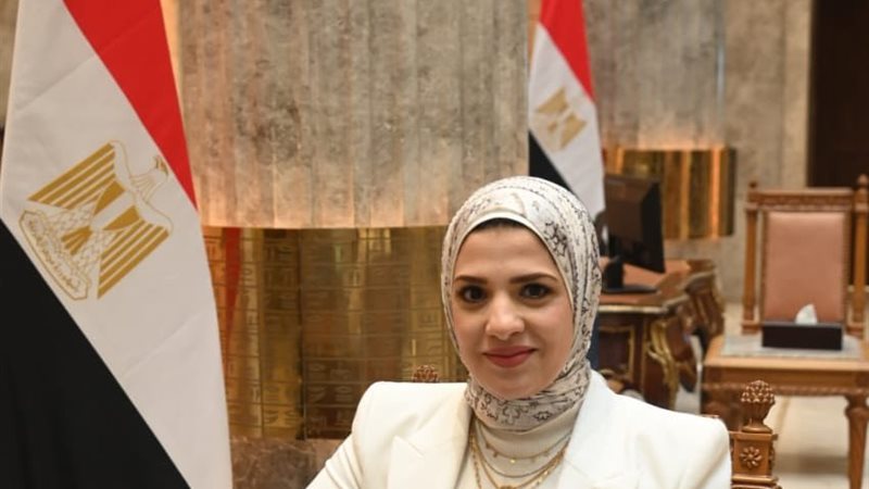 النائبة غادة قنديل