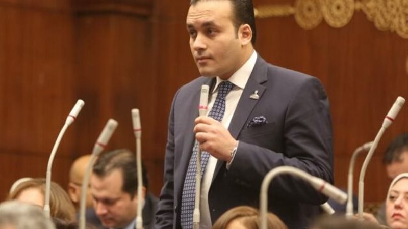 النائب عمرو فهمي