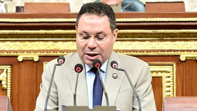 النائب هشام الحصري