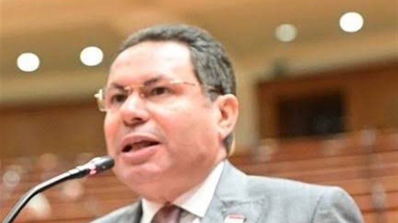 النائب هشام الحصري